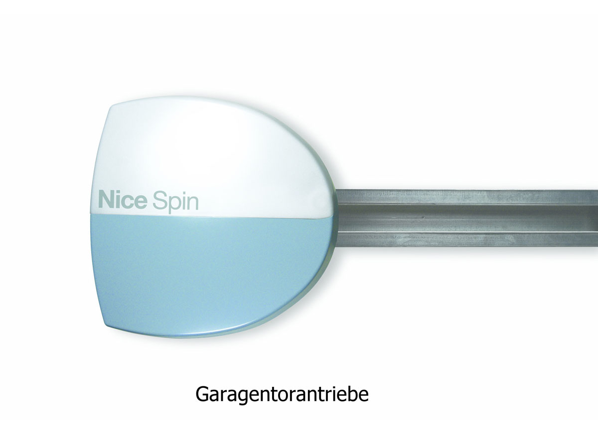 Garagentorantrieb (1)